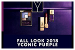 YSL Beauty - Fall Look 2018 email