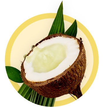 Ethically Traded Coconut Oil