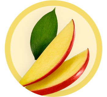 Wild Mango Butter